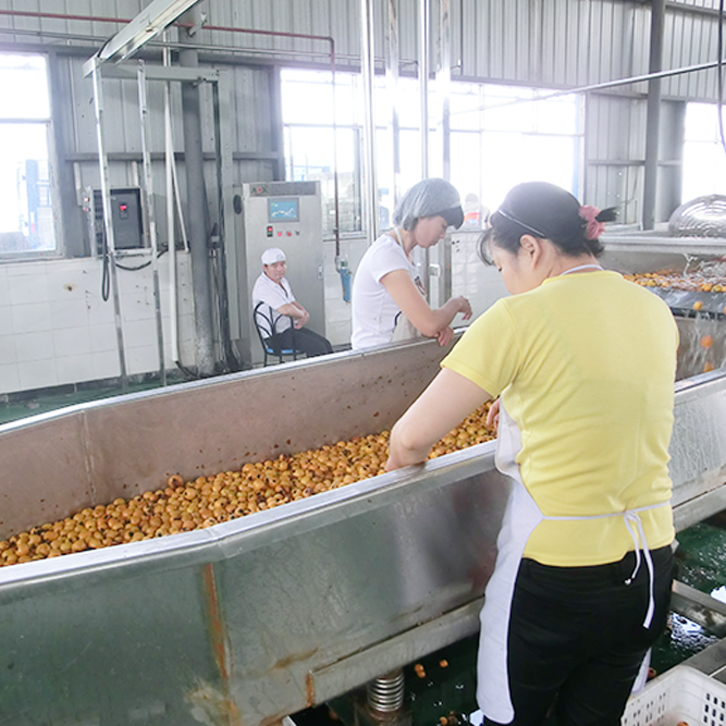 Loquat juice production line