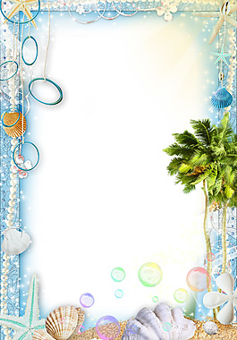 貝殼相框素材設計素材圖片_貝殼相框素材設計素材素材_貝殼相框素材設計素材模板免費下載
