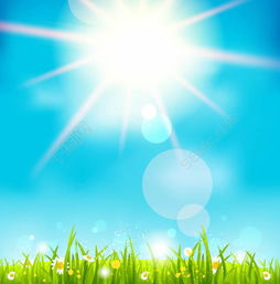 陽光草地矢量素材模板免費下載 650像素 編號17640958 千圖網