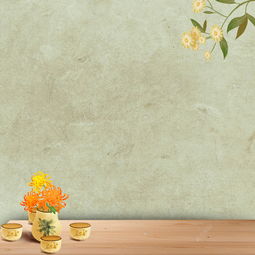 簡約菊花花茶psd分層主圖背景素材背景圖片免費下載 千庫網