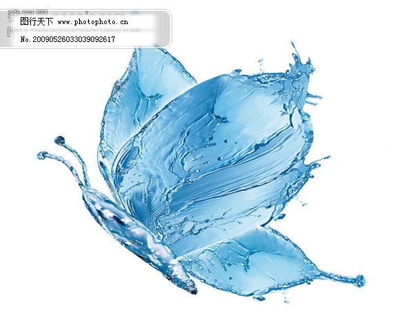 水蝴蝶psd素材,底紋 特效 形態-