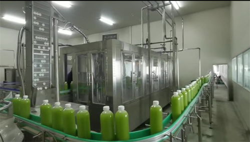 加快建設名城之花競相綻放，共話發展躊躇滿志未來已來